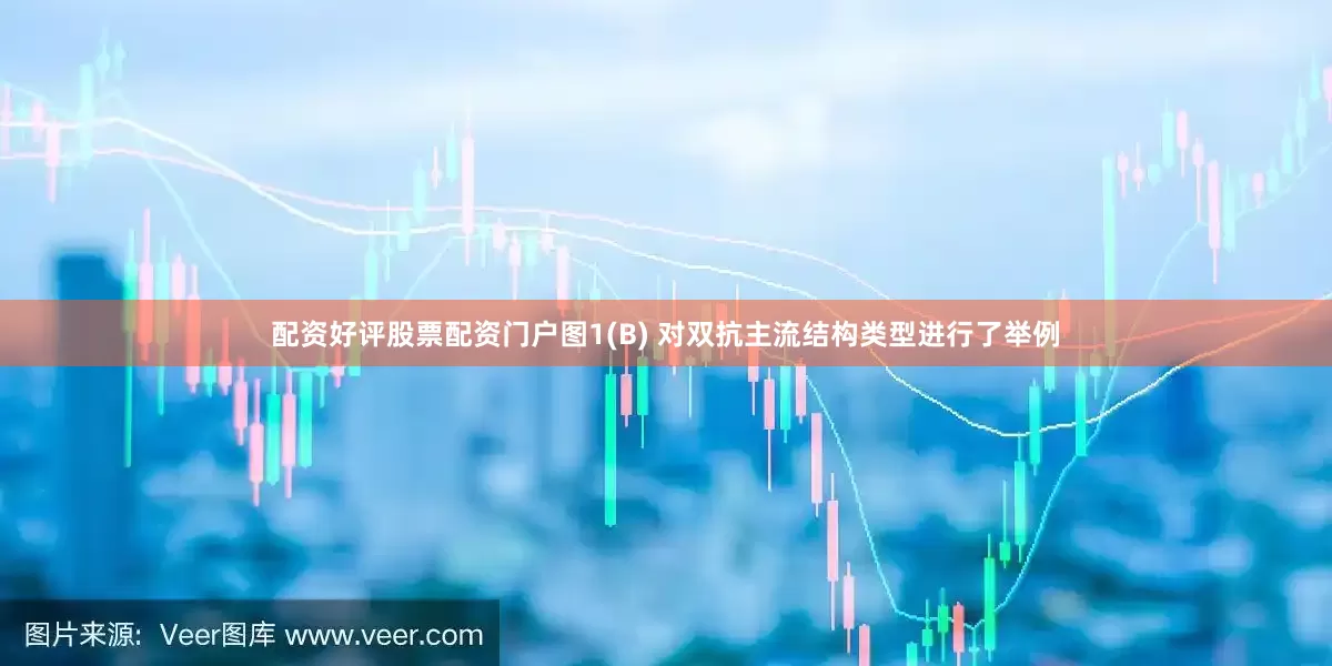 配资好评股票配资门户　　图1(B) 对双抗主流结构类型进行了举例