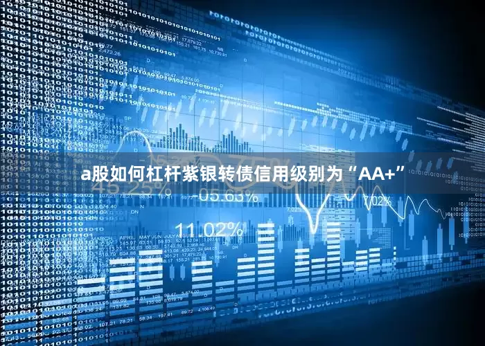 a股如何杠杆紫银转债信用级别为“AA+”